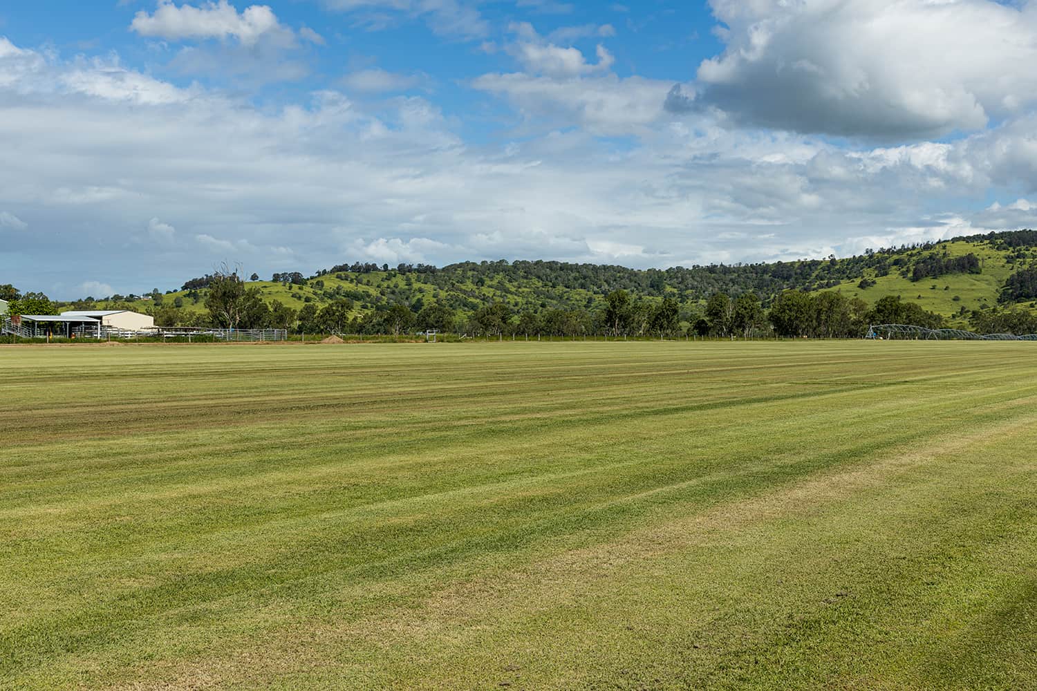 A large field with Zoysia Turf and hills in the background