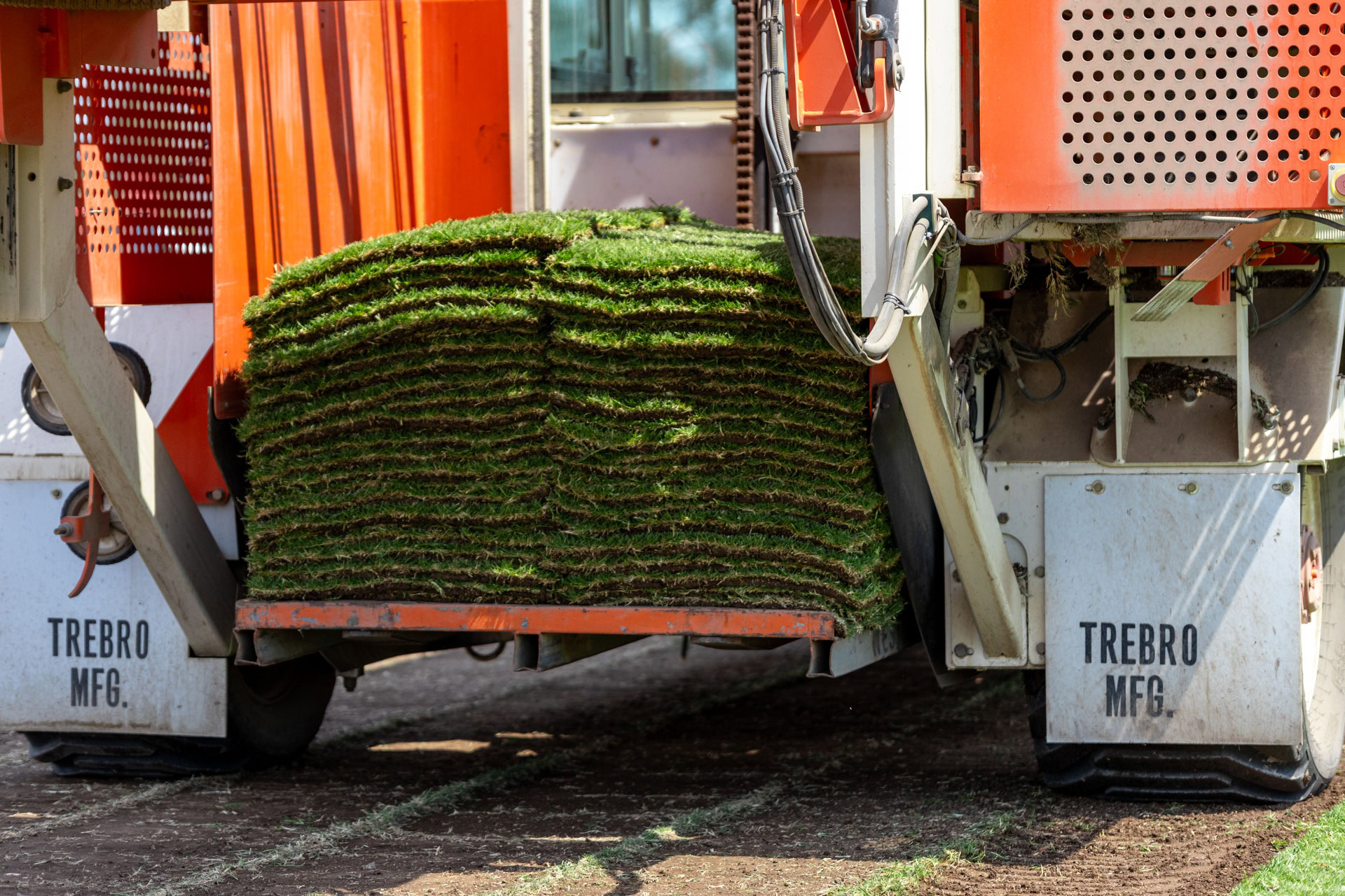 A large turf harvester stacks thick layers of fresh green sod onto an orange rear platform while operating on a field of dark soil.
