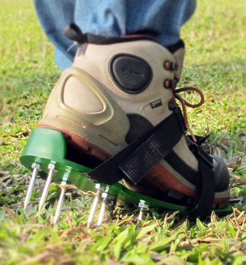 Watering Tips Your Brisbane Turf Will Love | West Turf