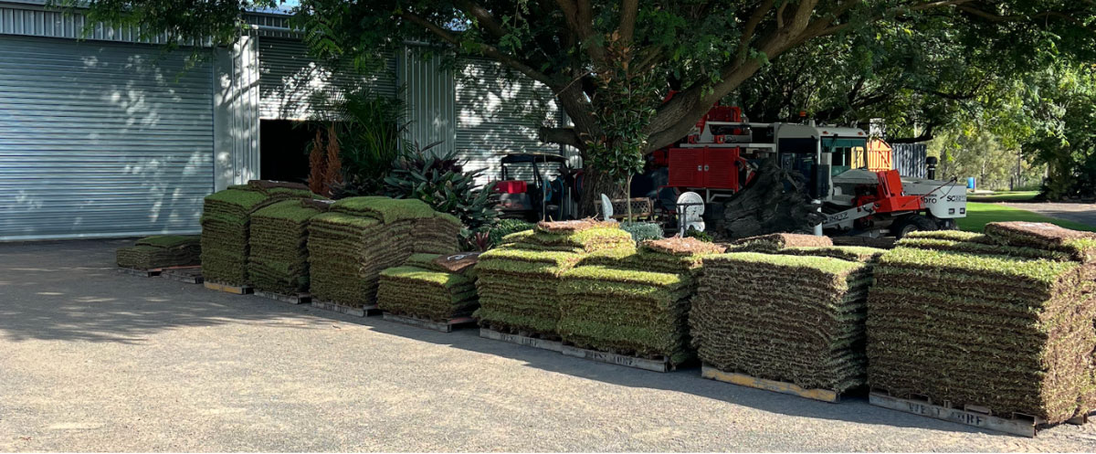 Freshly harvested West Turf rolls stacked on pallets at the Wivenhoe Pocket farm, beside a Trebro harvester