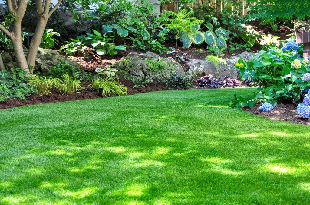 bright green, quality turf in the shade