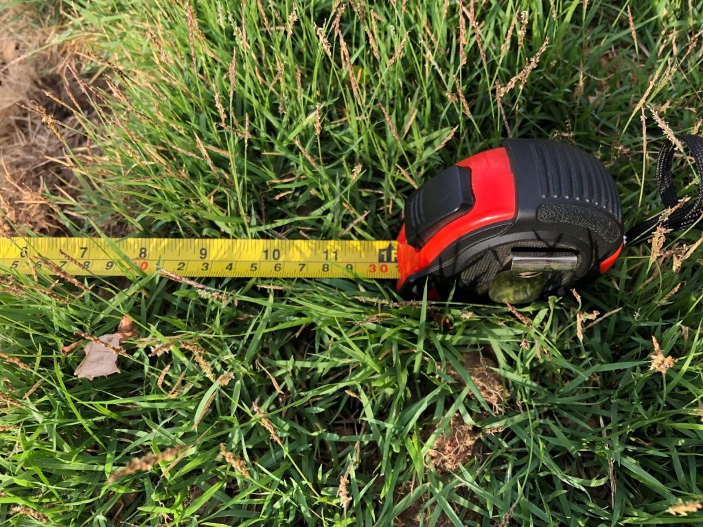 Measuring your lawn