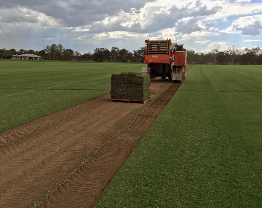 Turf and west turf installation