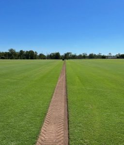 Wintergreen turf covering a large field